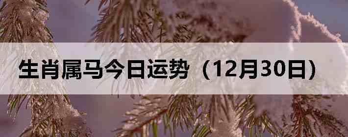 ��Ф�����������ƣ�12��30�գ�