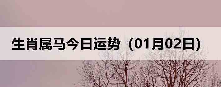 ��Ф�����������ƣ�01��02�գ�