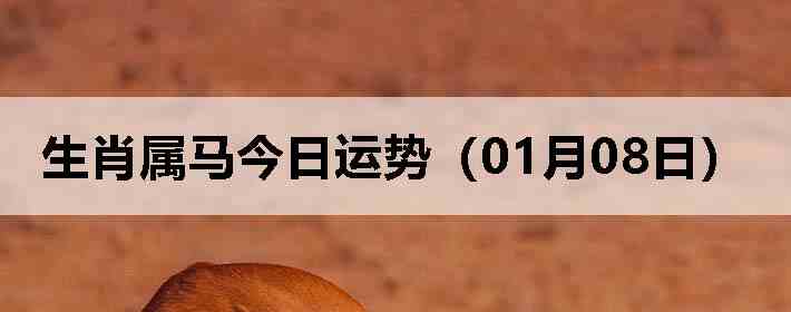 ��Ф�����������ƣ�01��08�գ�