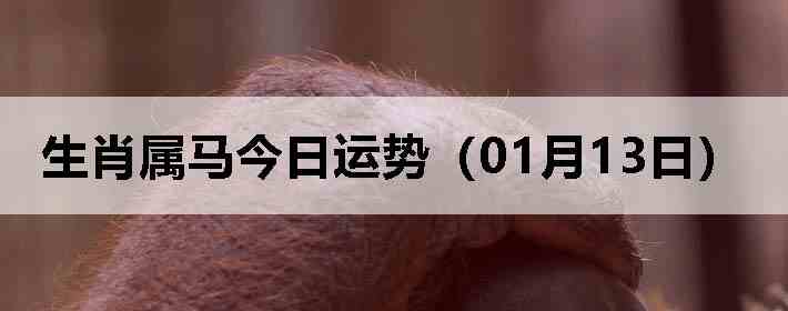 ��Ф�����������ƣ�01��13�գ�