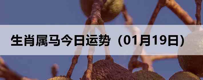 ��Ф�����������ƣ�01��19�գ�