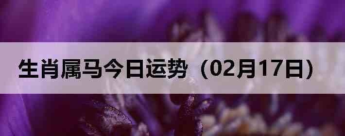 ��Ф�����������ƣ�02��17�գ�