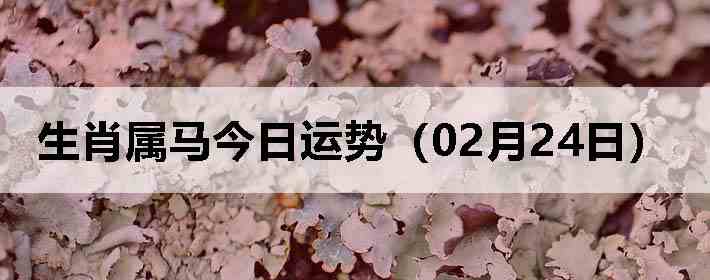 ��Ф�����������ƣ�02��24�գ�