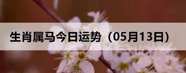 ��Ф�����������ƣ�05��13�գ�