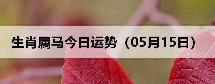 ��Ф�����������ƣ�05��15�գ�