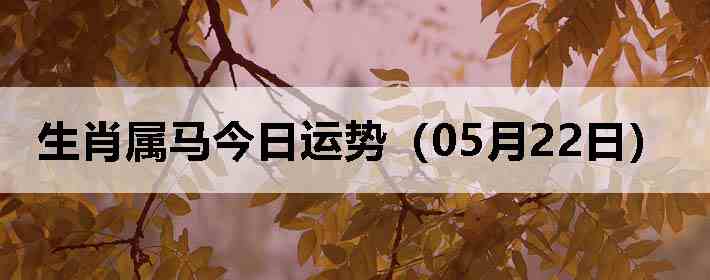 ��Ф�����������ƣ�05��22�գ�