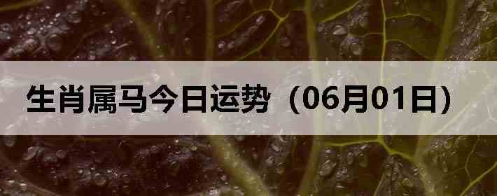 ��Ф�����������ƣ�06��01�գ�
