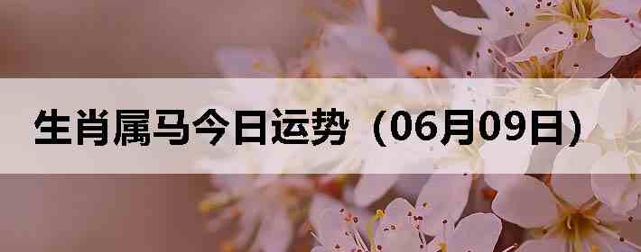 ��Ф�����������ƣ�06��09�գ�