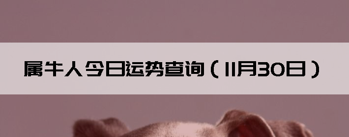 ţ˽Ʋѯ1130գ