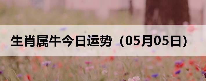 Фţƣ0505գ