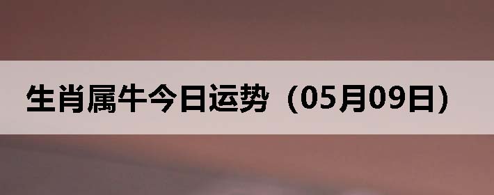 Фţƣ0509գ