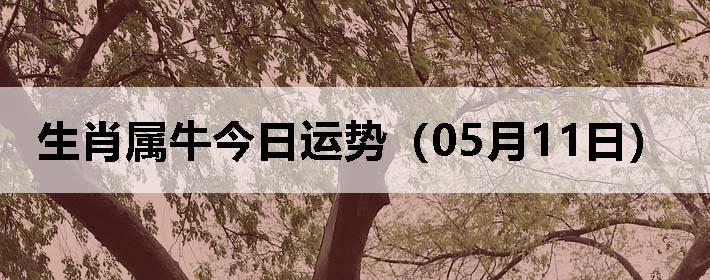 Фţƣ0511գ