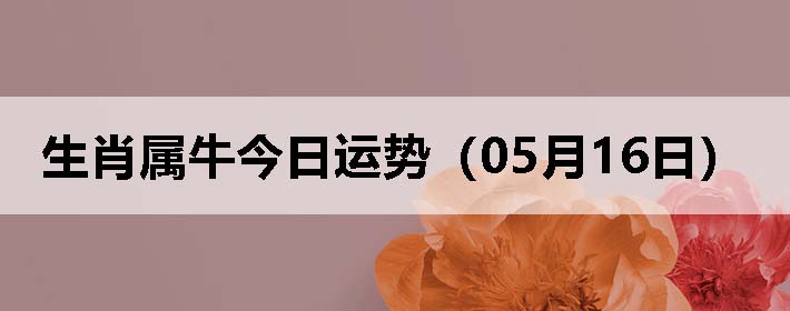 Фţƣ0516գ