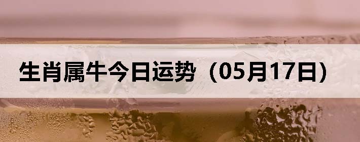 Фţƣ0517գ
