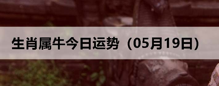 Фţƣ0519գ