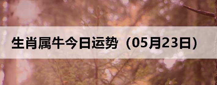 Фţƣ0523գ