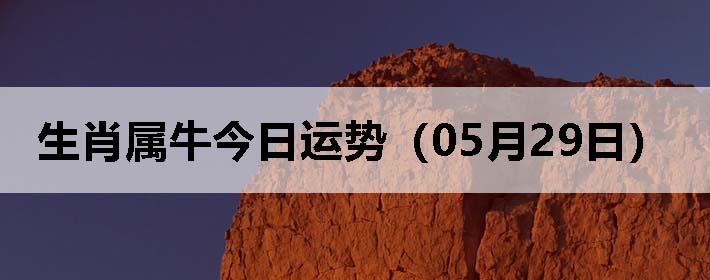 Фţƣ0529գ