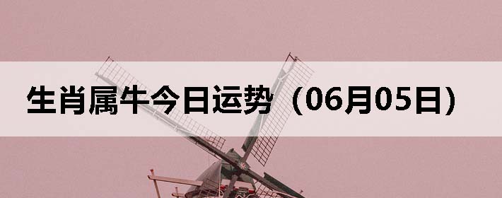 Фţƣ0605գ