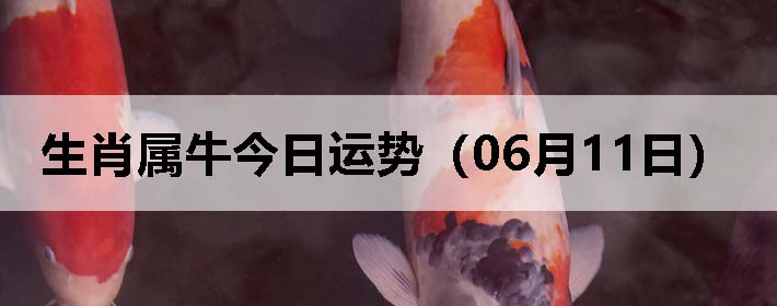 Фţƣ0611գ