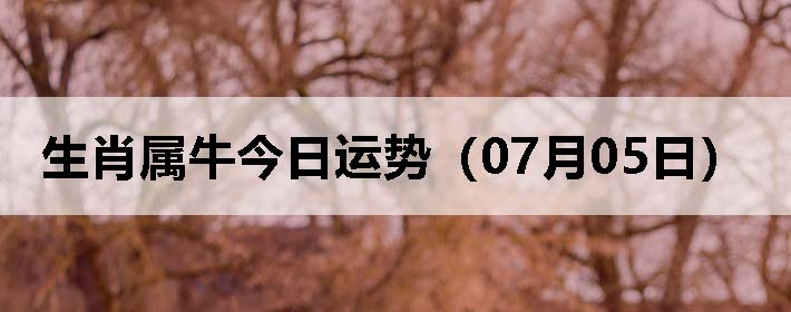 Фţƣ0705գ