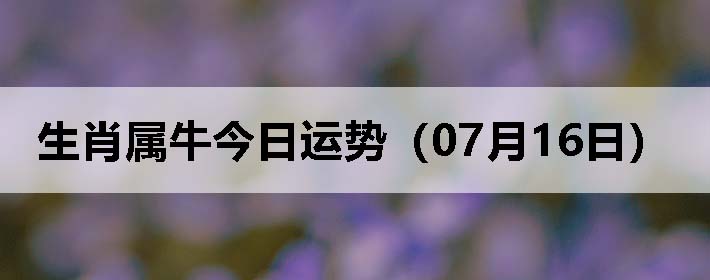 Фţƣ0716գ