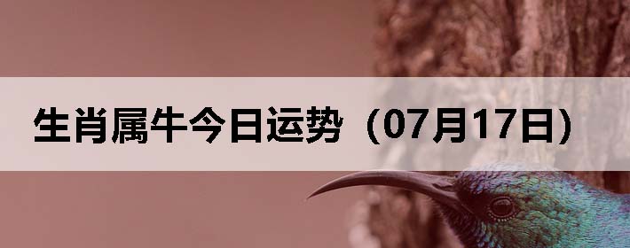 Фţƣ0717գ