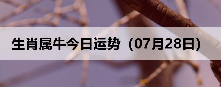 Фţƣ0728գ