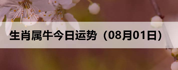 Фţƣ0801գ