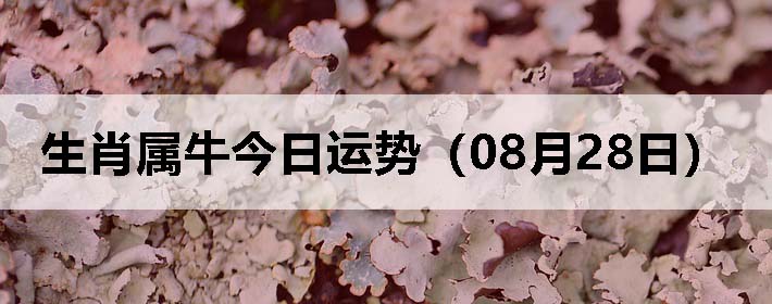 Фţƣ0828գ