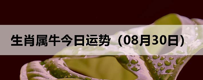Фţƣ0830գ