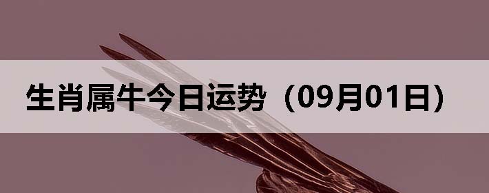 Фţƣ0901գ