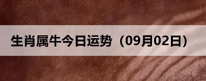 Фţƣ0902գ