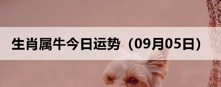 Фţƣ0905գ