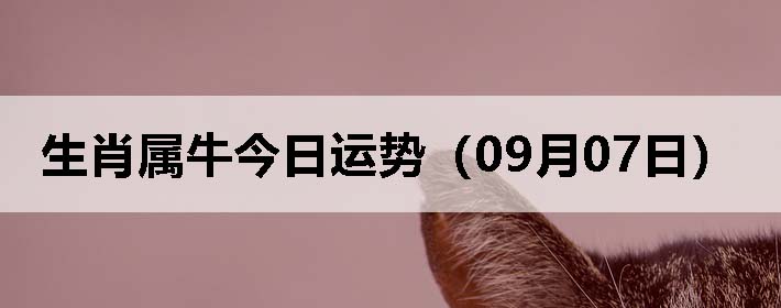 Фţƣ0907գ