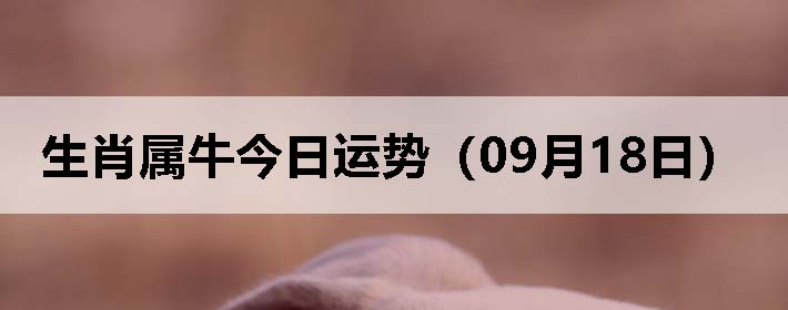 Фţƣ0918գ