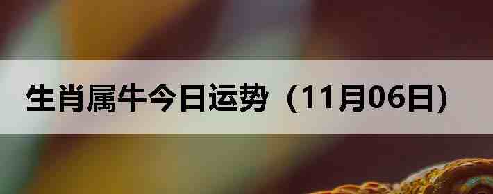 ��Ф��ţ�������ƣ�11��06�գ�