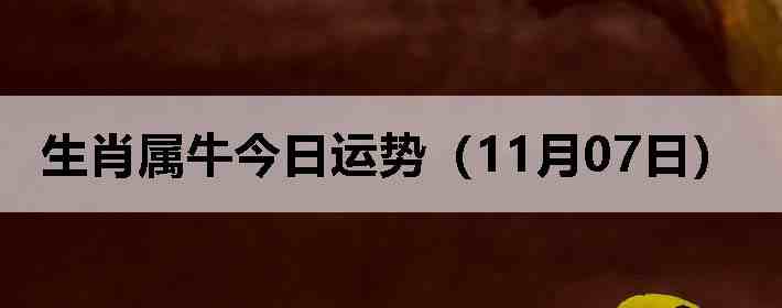 ��Ф��ţ�������ƣ�11��07�գ�