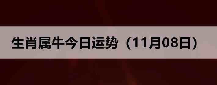 ��Ф��ţ�������ƣ�11��08�գ�