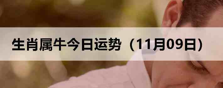 ��Ф��ţ�������ƣ�11��09�գ�