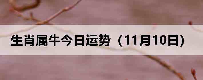 ��Ф��ţ�������ƣ�11��10�գ�