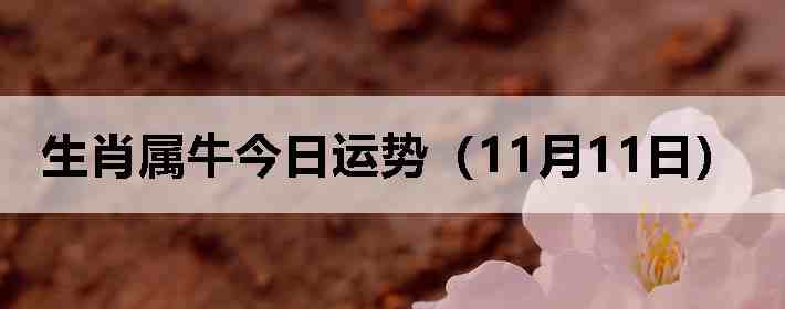 ��Ф��ţ�������ƣ�11��11�գ�