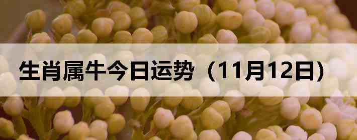 ��Ф��ţ�������ƣ�11��12�գ�