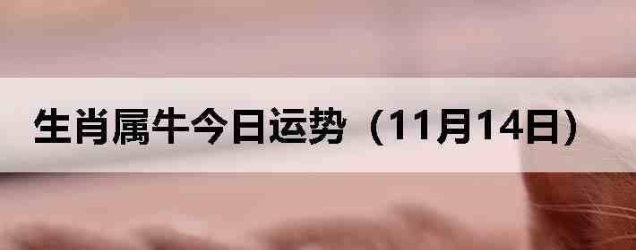 ��Ф��ţ�������ƣ�11��14�գ�