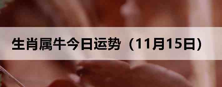 ��Ф��ţ�������ƣ�11��15�գ�