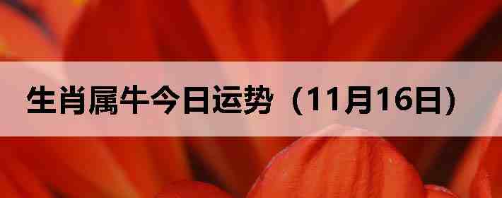 ��Ф��ţ�������ƣ�11��16�գ�