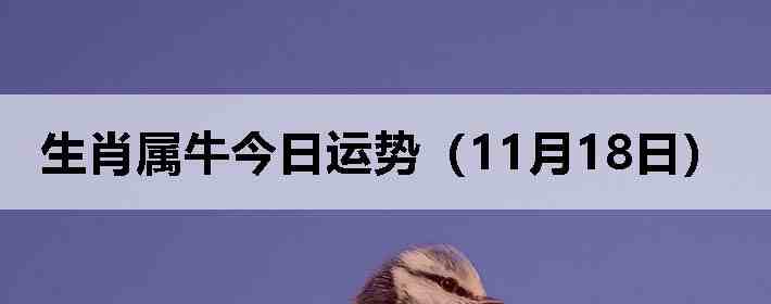 ��Ф��ţ�������ƣ�11��18�գ�