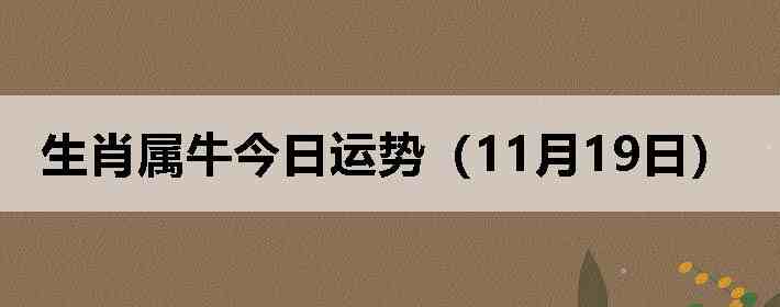 ��Ф��ţ�������ƣ�11��19�գ�