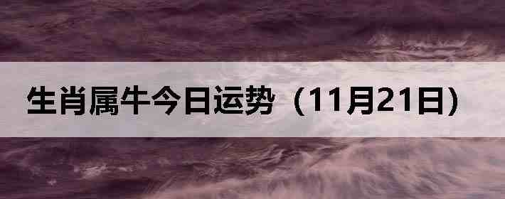 ��Ф��ţ�������ƣ�11��21�գ�