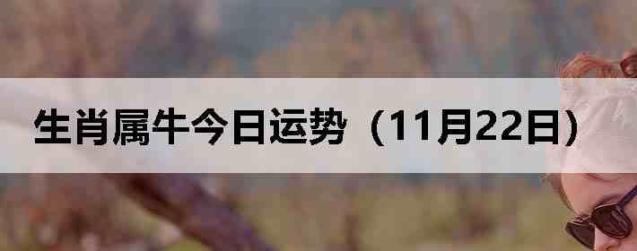 ��Ф��ţ�������ƣ�11��22�գ�