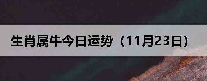 ��Ф��ţ�������ƣ�11��23�գ�